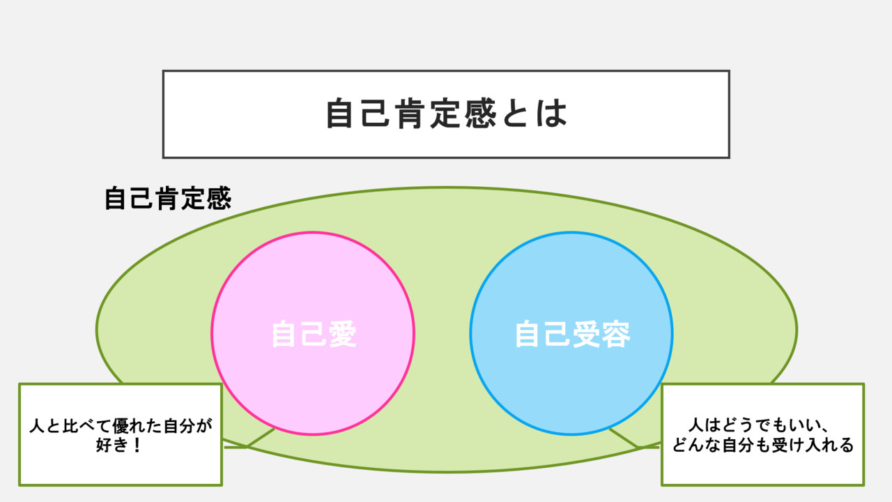 SNSと自己愛・自己肯定感との関連性①｜石川ゼミ ポジティブ班