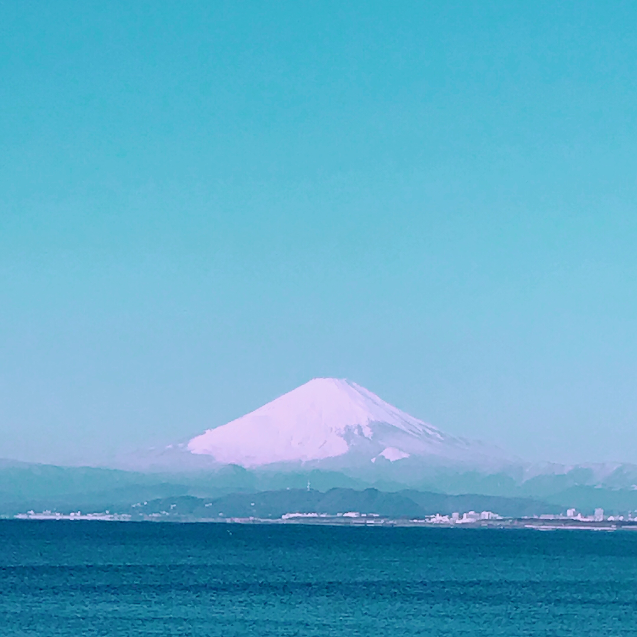 江ノ島海岸のビーチクリーンと新江ノ島水族館えのすいフリーマッケットに参加してきました Huwamoco イガラシナオ Note
