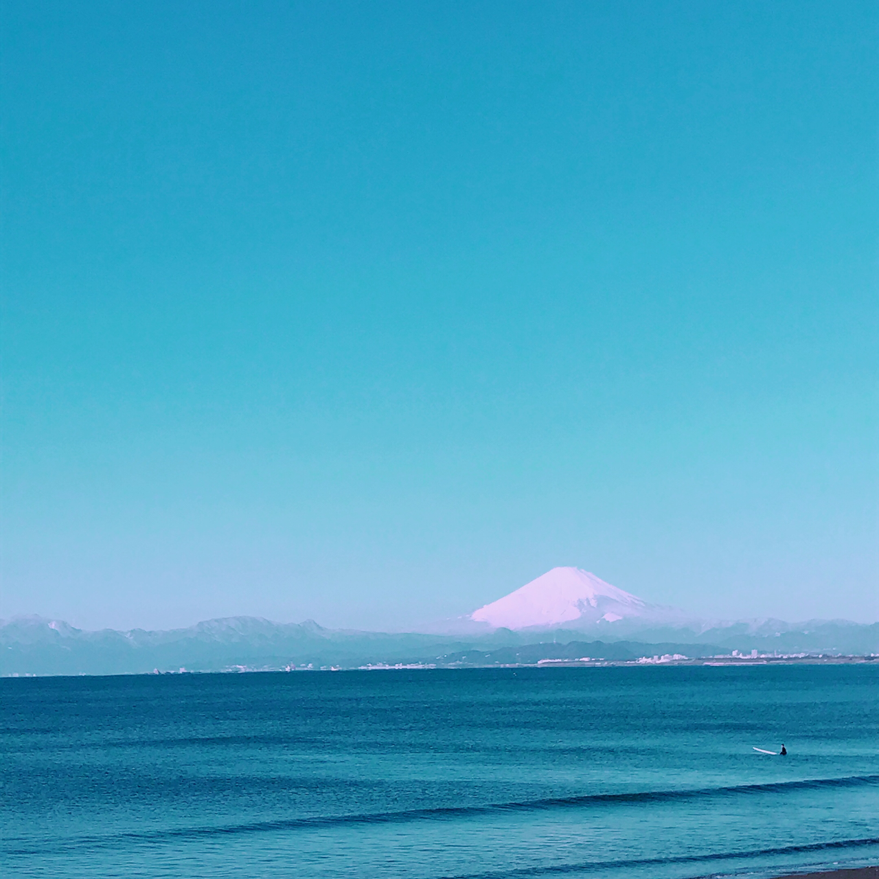 江ノ島海岸のビーチクリーンと新江ノ島水族館えのすいフリーマッケットに参加してきました Huwamoco イガラシナオ Note