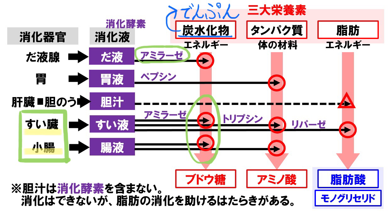 副作用はありますか?