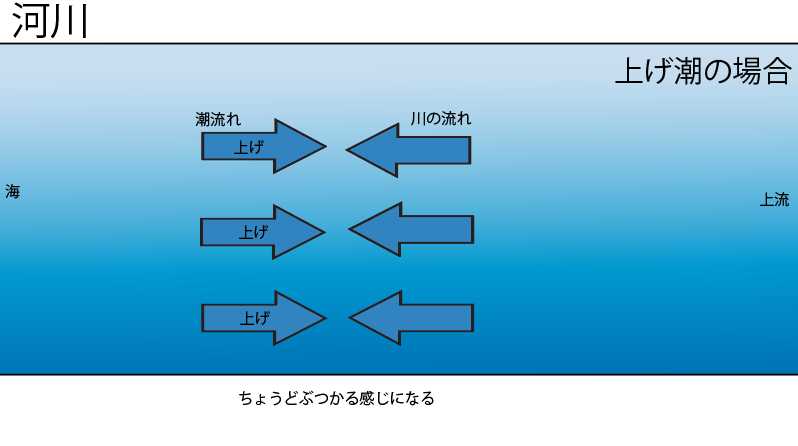 都市河川でのシーバスフィッシング How To ２ 潮編 鶴見川 ナカシー 鶴見川シーバスフィッシャー Note