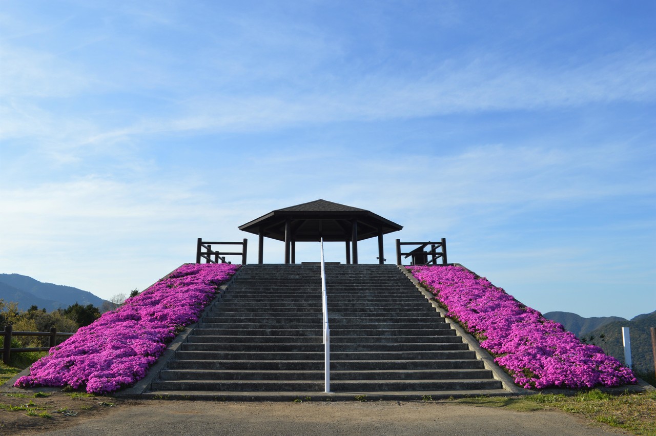 芝桜と 空の公園 おおの たつや Note