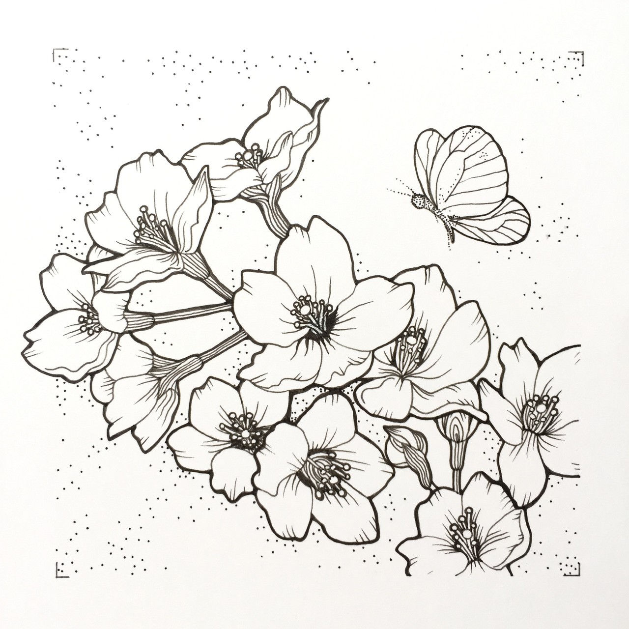 絵のワークショップで 桜 を描く アユミ 絵描き Note