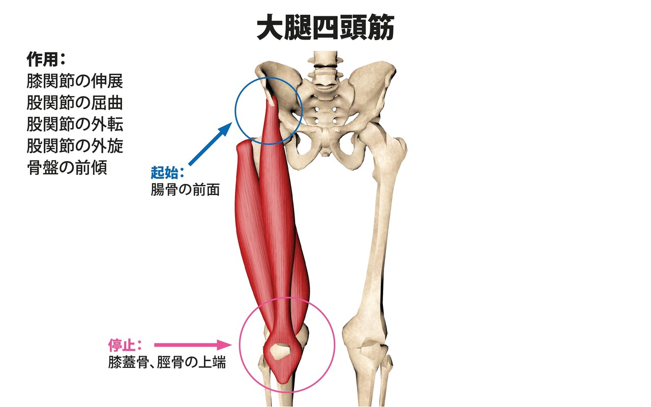 腹筋で腰が痛くなってしまう 原因と解決策を詳しく解説 Hide トレーナー ジム経営 講師 Note