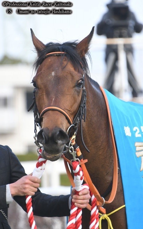 ウィル アウェイ