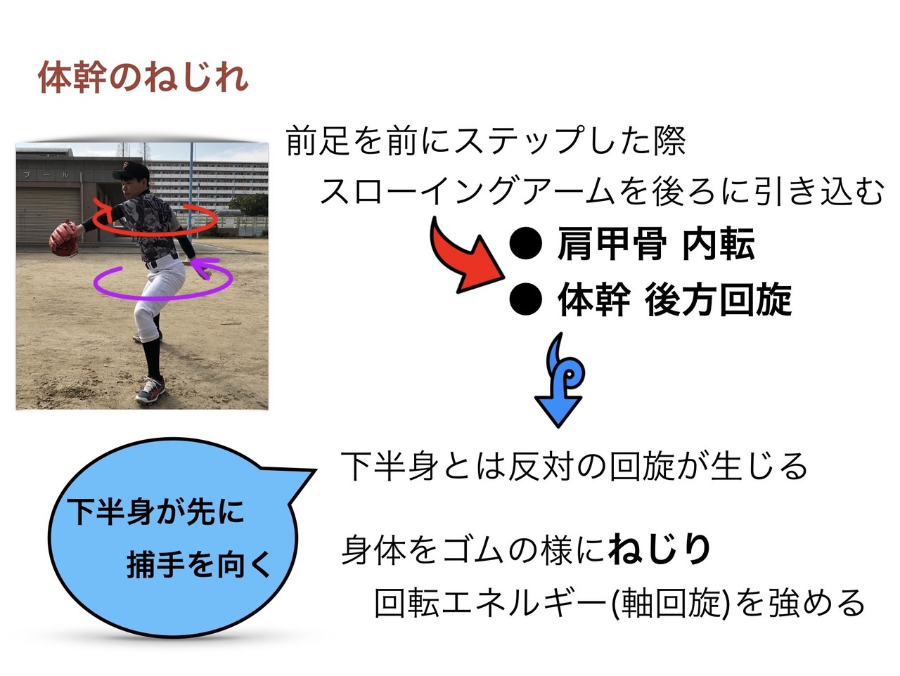 ピッチングメカニズム Vol.6 腕のしなりを生む体幹の割れ｜motomura｜note