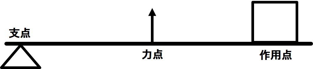 Acl再受傷をバイオメカニクスで紐解く バイオメカニクスの基礎 Shota Uchino Note