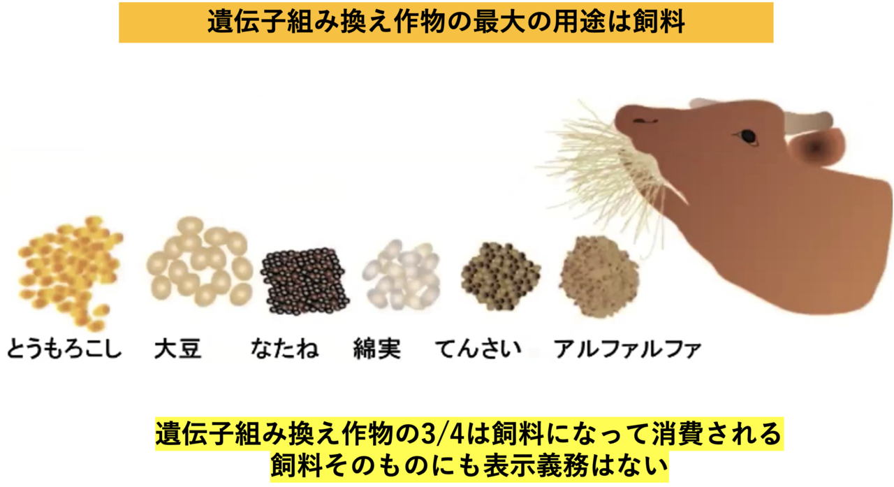 スクリーンショット 2020-02-06 11.36.53