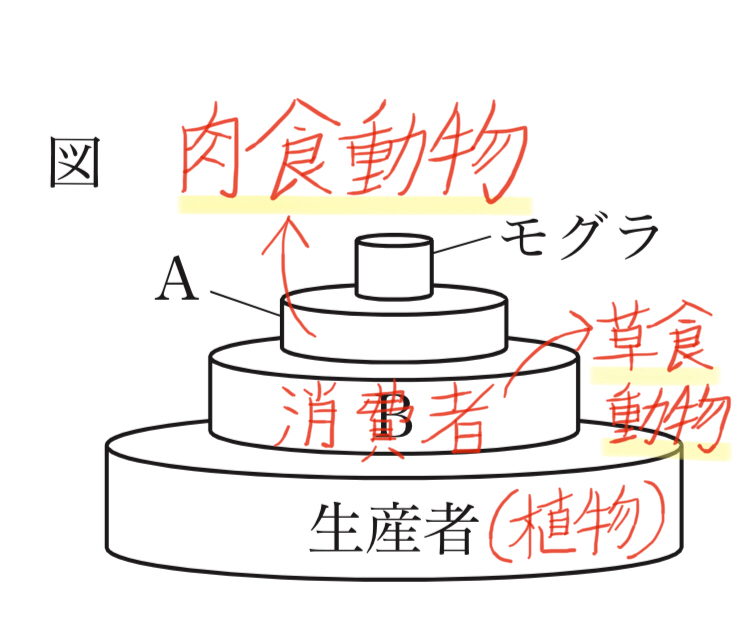 都立高校入試理科地学 食物連鎖 対策 坂本良太 Note