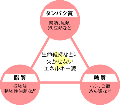 栄養素1