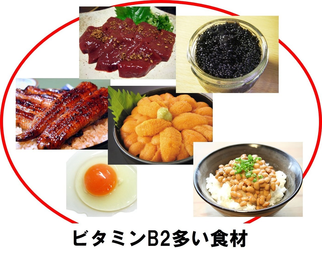 画像7