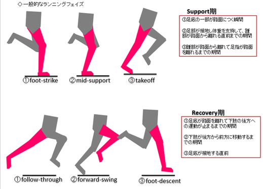 短距離選手に大事な股関節の動きの話 さかもと 陸上競技トレーナー Note