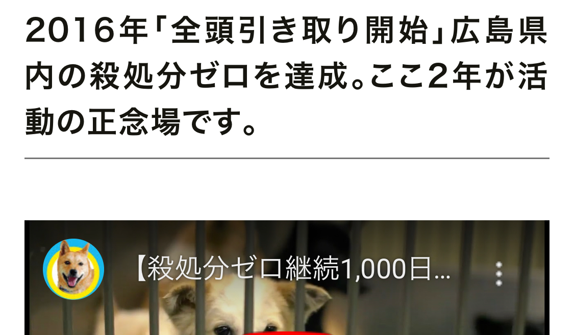 ピースワンコ 全頭引き取り の公約放棄か 1年前から 適正範囲に制限 と広島県回答 樫原弘志 Waterside Laboratory Llc Note