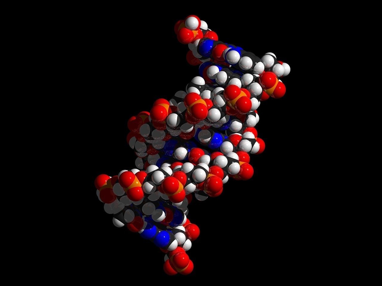 Dna や 遺伝子 と言葉を使う前に ちょっと知って欲しいこと のざたん Note