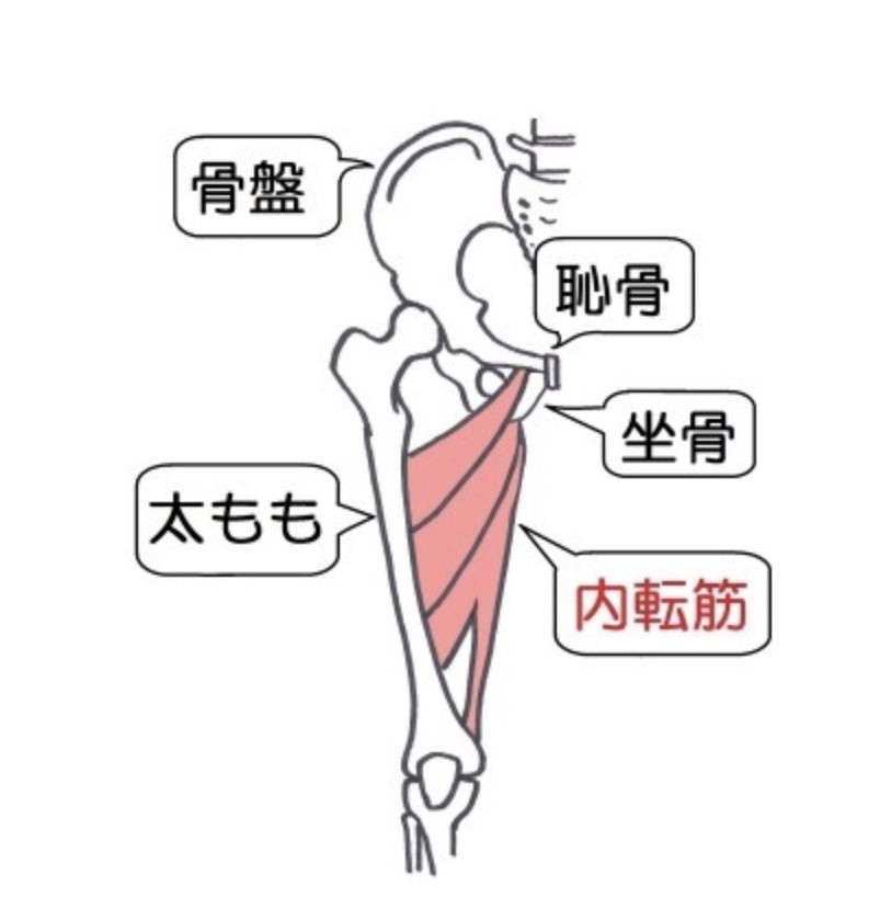 私の人生に欠かせないもの 鍼灸のススメ 肥後知歩 かんたん料理大好きfp Note