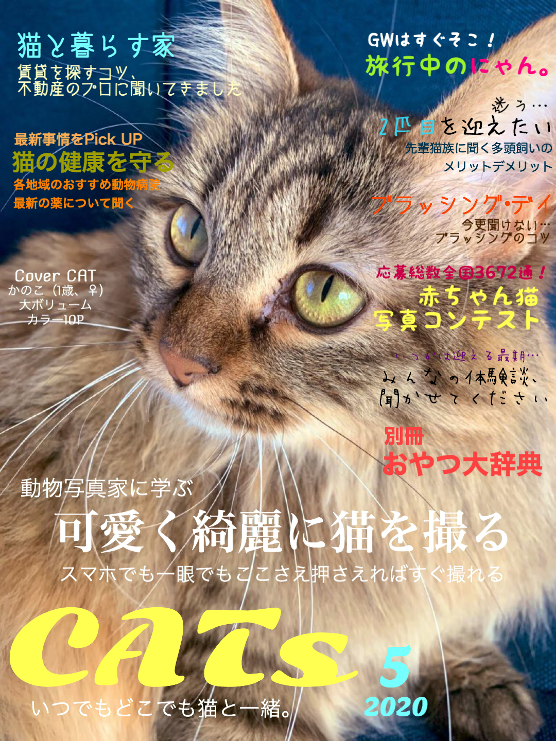 Phonto で猫雑誌の表紙を作ってみた 中村もちこ Note