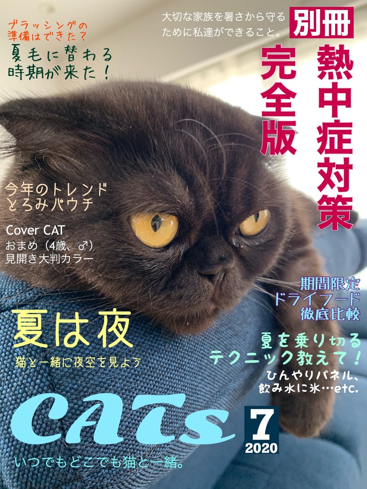 Phonto で猫雑誌の表紙を作ってみた 中村もちこ Note