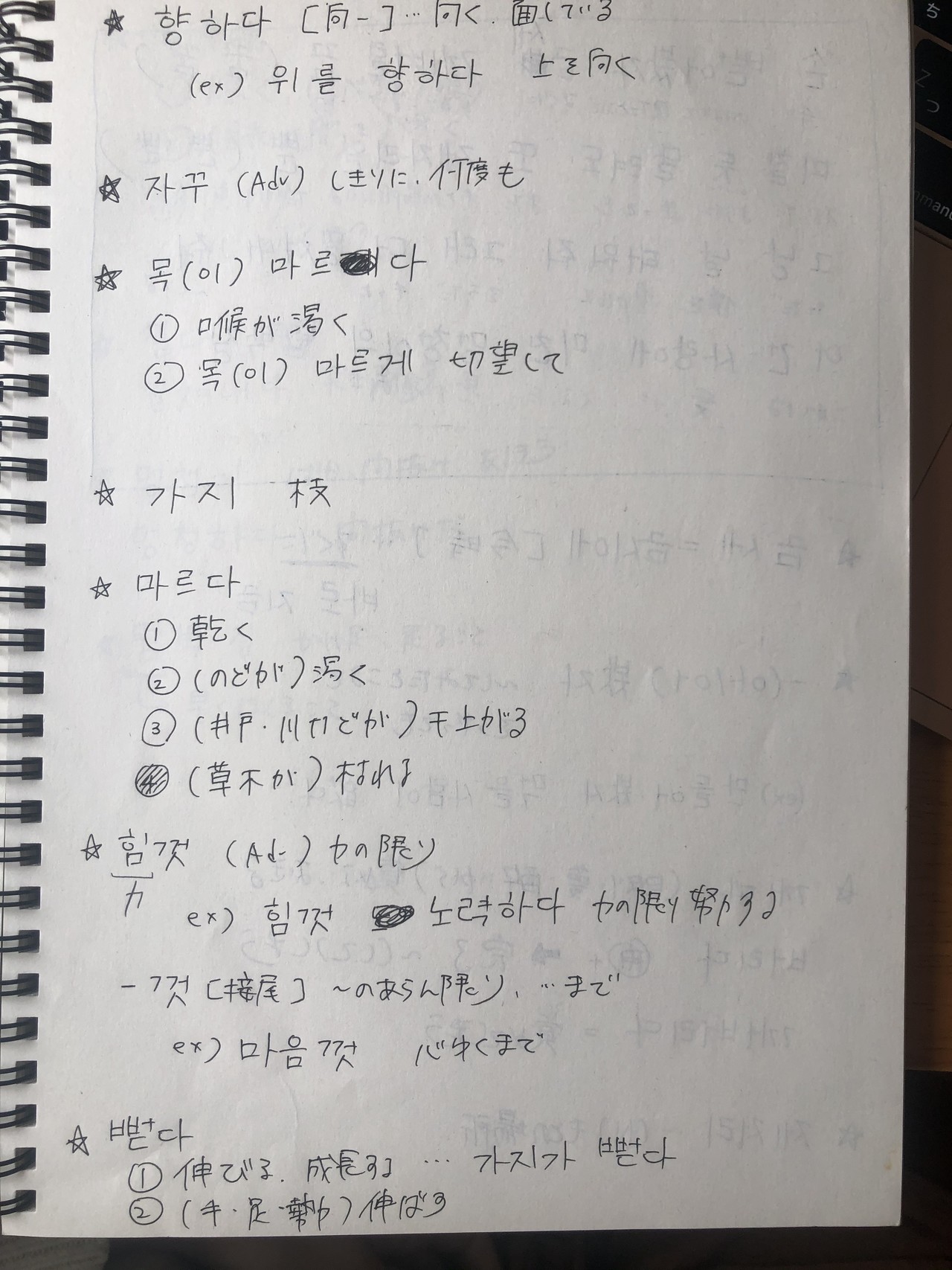 わたしの学習方法 歌詞から勉強編 Shiho Note