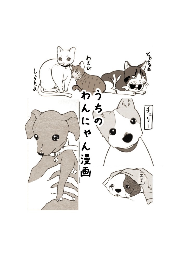 Twitterで犬猫漫画描いてる宣伝 コノハ Note