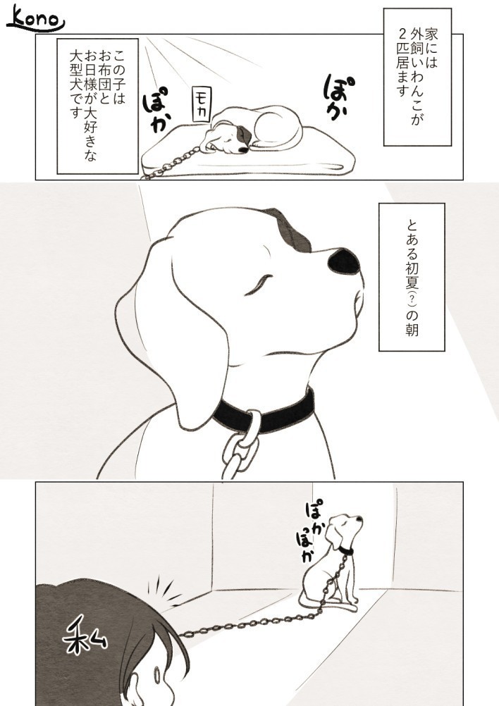 Twitterで犬猫漫画描いてる宣伝 コノハ Note