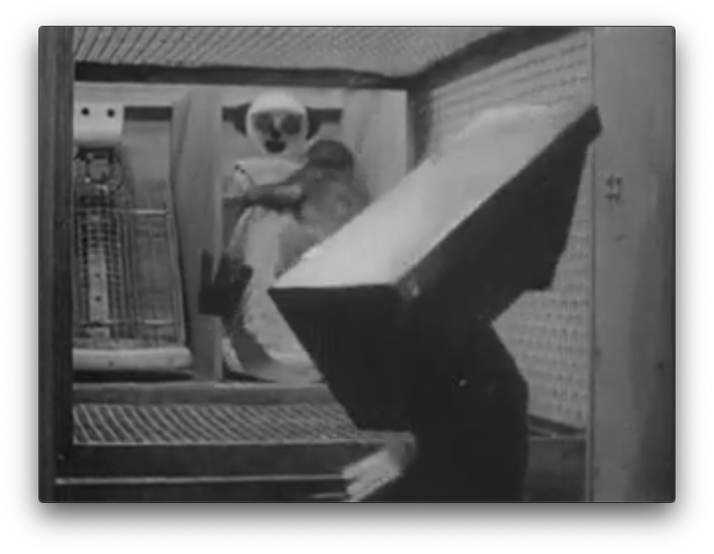 スクリーンショット 2020-03-03 10.51.47