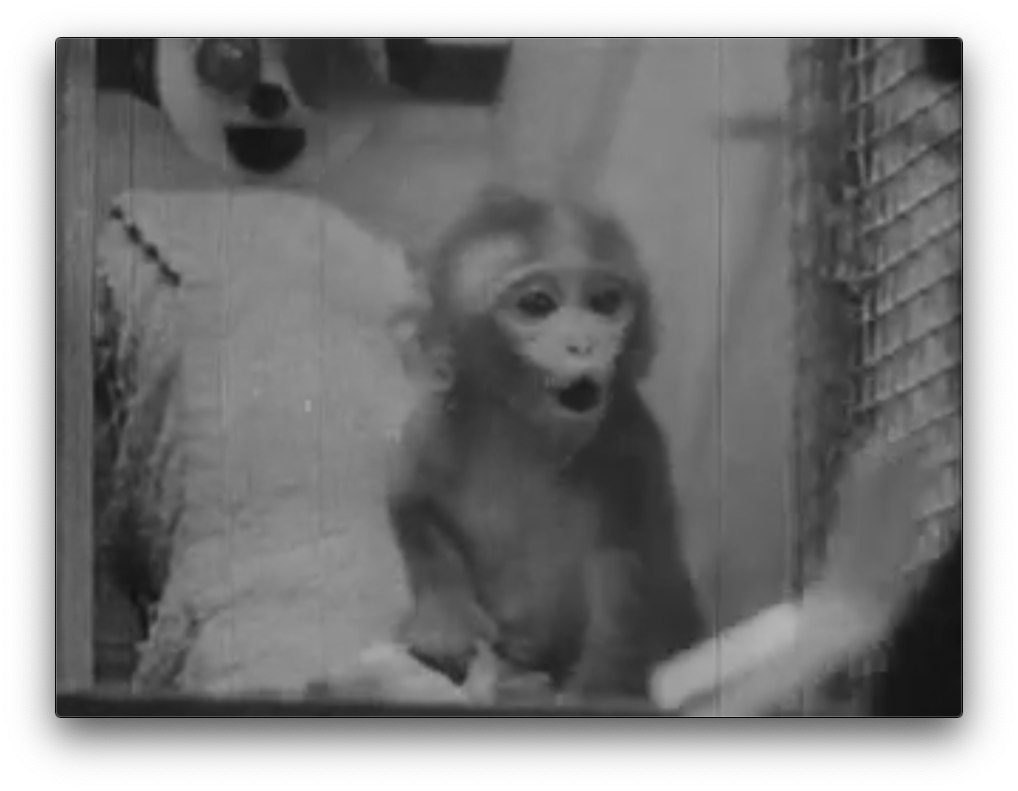 スクリーンショット 2020-03-03 10.56.25