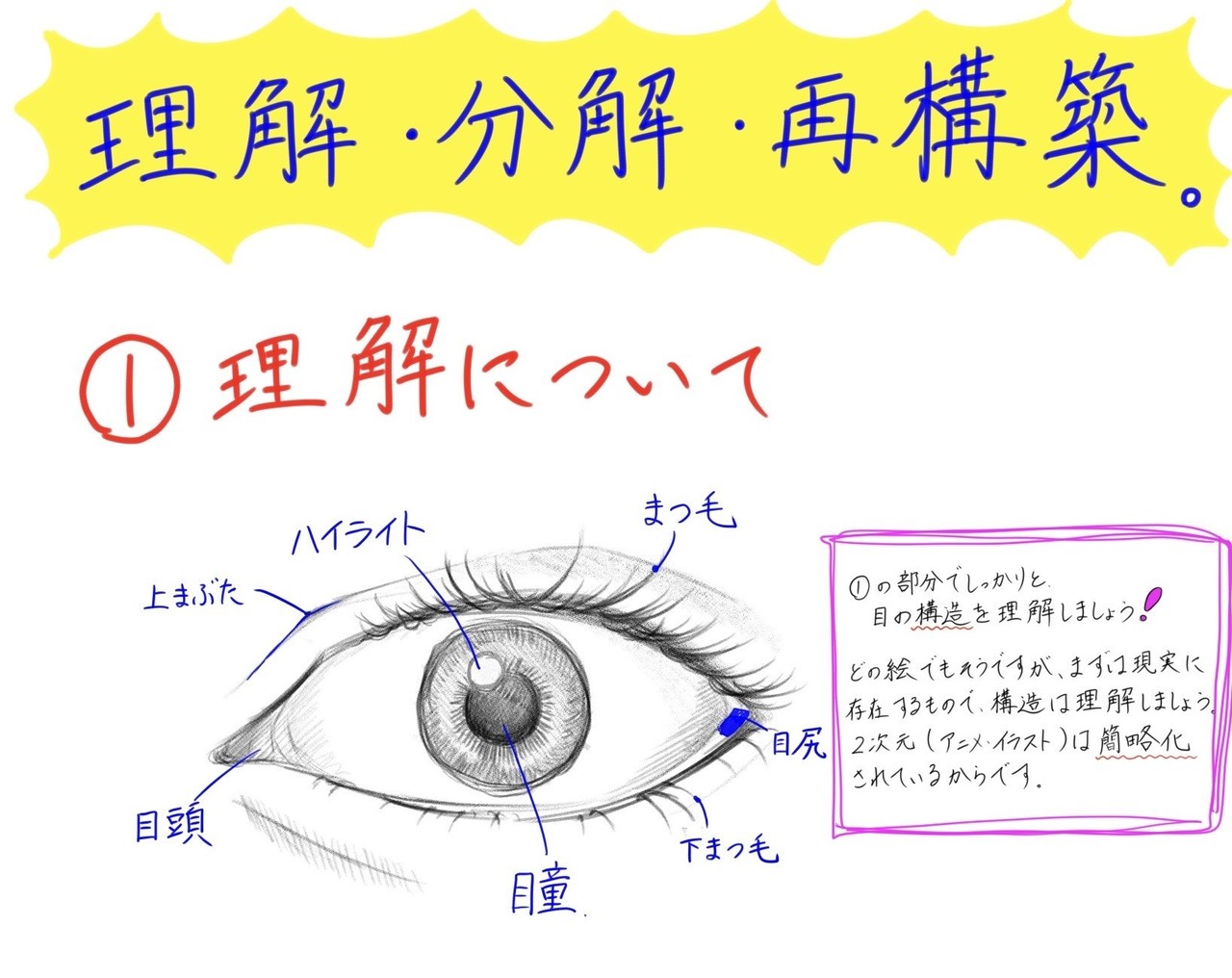 観る力を最大限に活用した目の描き方 こまさん フリーイラストレーター Note