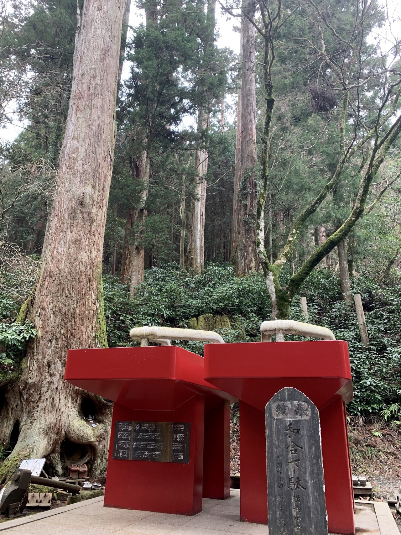 大雄山 最乗寺 で天狗さん達に会ってきたら メッセージ 毒舌 がたっぷりきたので お伝えします Miriishii Note