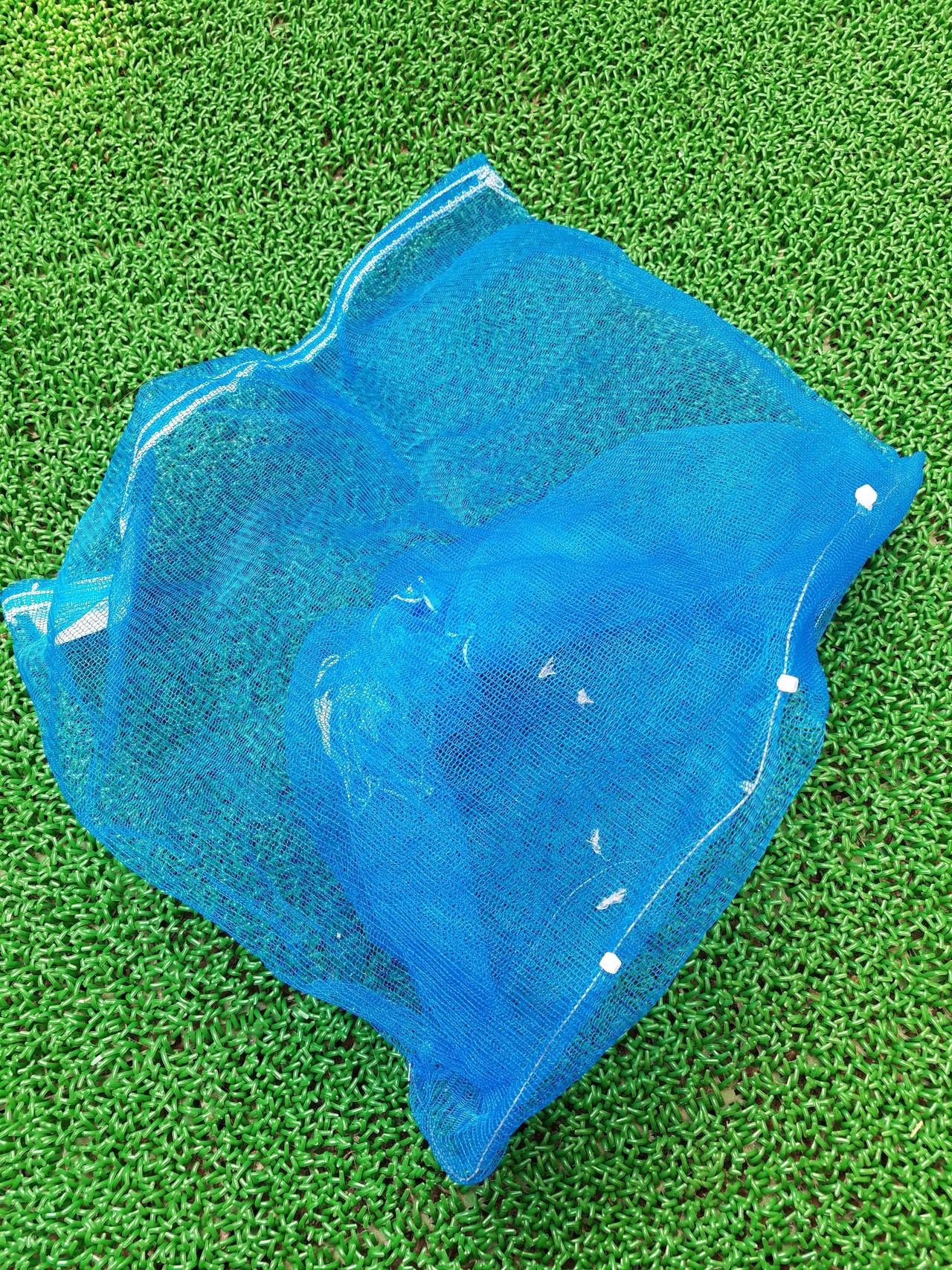 ダイソーの商品450円で魚キラー 罠 を作る 簡単手作り魚トラップ ほっこり班 親子のアウトドア