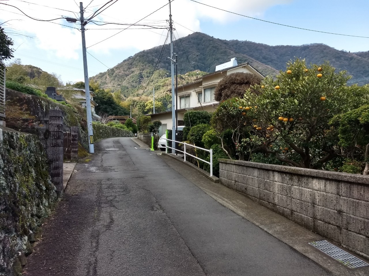 山ばむ幸せ 03 08高崎山 幻の北登山口 真田正之 Note