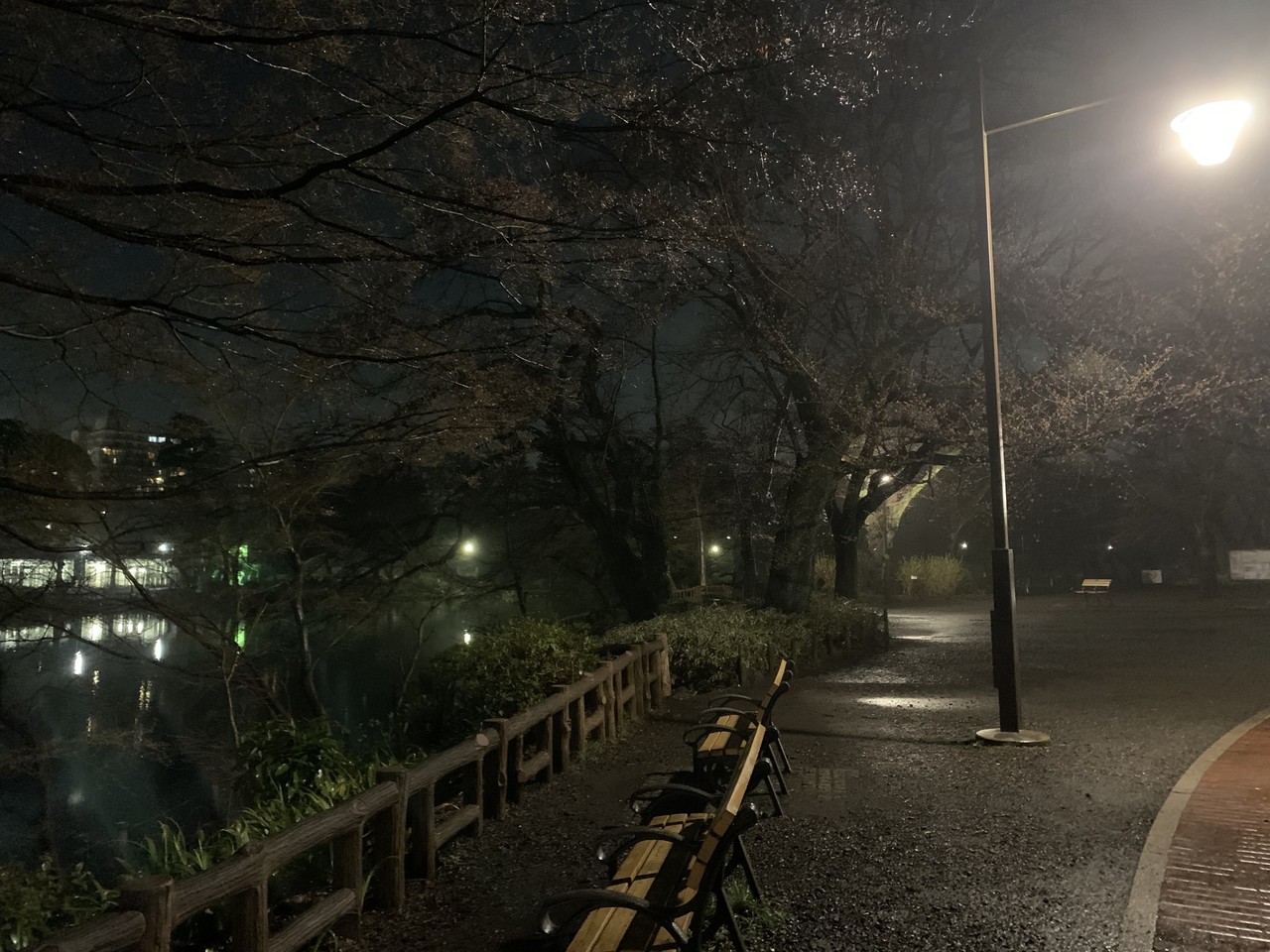 写真 雨上がりの井の頭恩賜公園 吉祥寺 Akiko Note