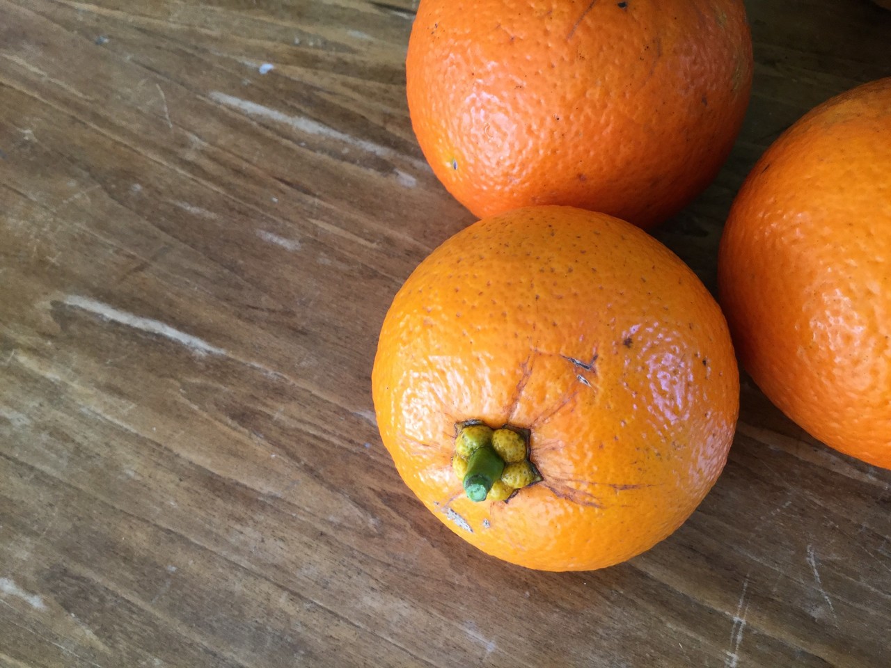 野草食日記 180 腱鞘炎にならないマーマレードの作り方 なな艸 Note