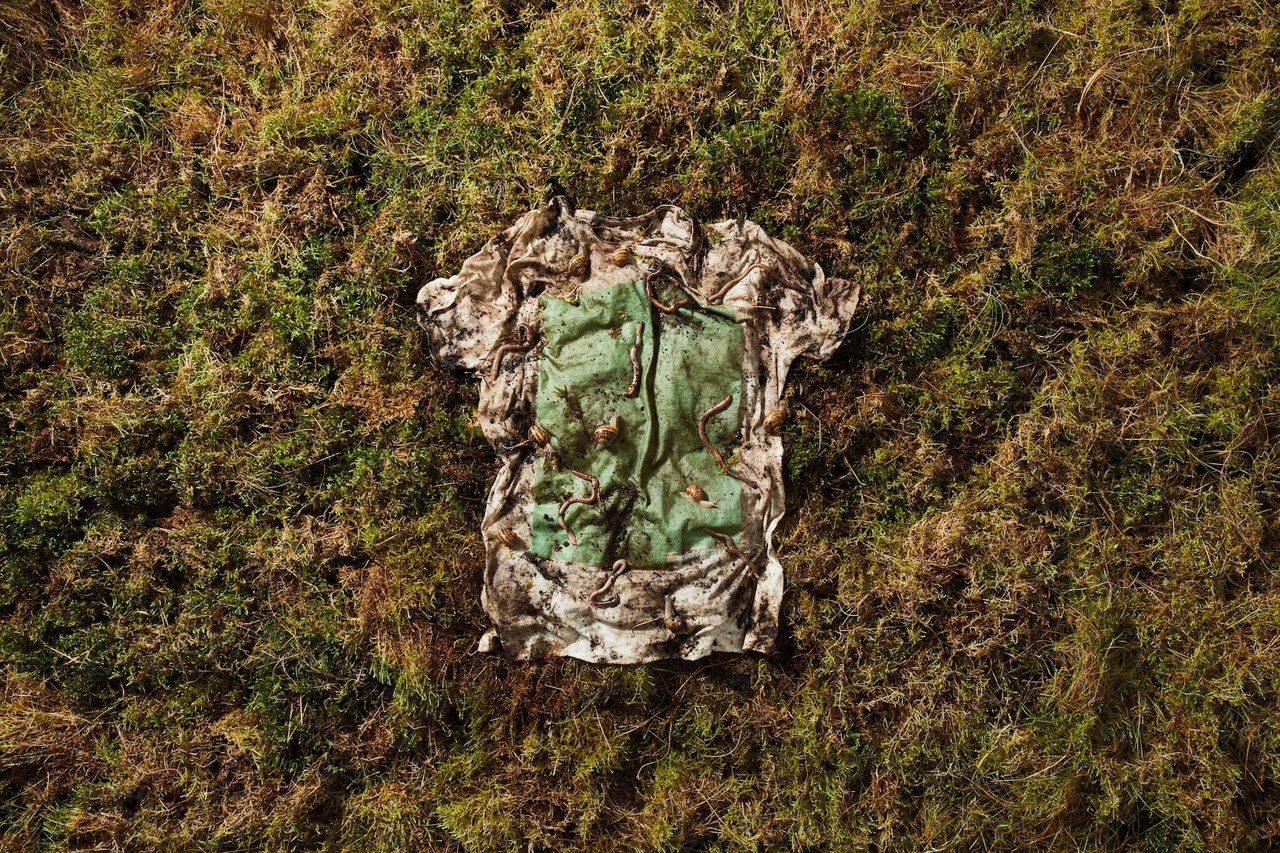 英国アパレルメーカーによる 植物から作られた完全再利用のtシャツ Plant And Algae T Shirt Zozo Fashiontechnews