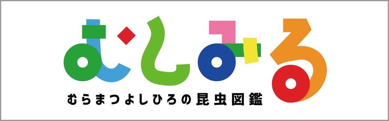 ロゴ制作で不採用の裏話 ムシミル誕生 ムシミル Note