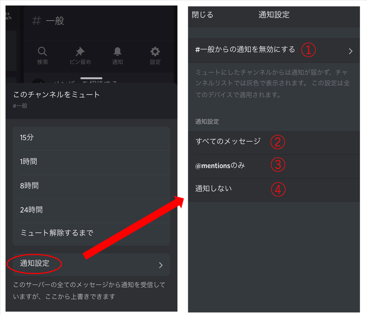 Discordの使い方 For Plus Note