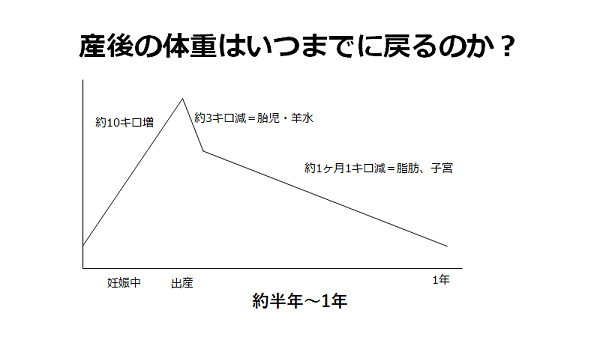 船形 インスタント 連続した 産後 体重 Druclimbing Jp