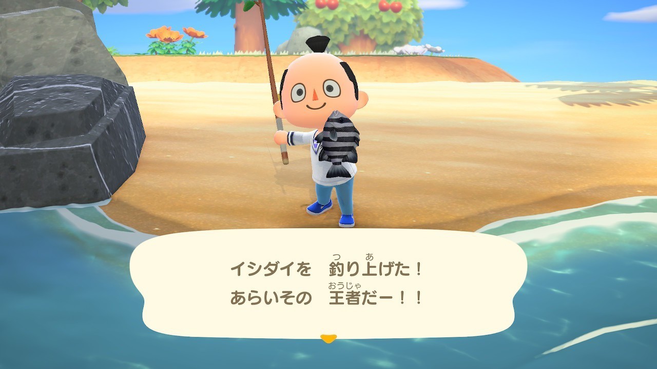 あつ 森 イシダイ 値段 あつ森 魚 虫 貝がらの値段一覧 あつまれ どうぶつの森