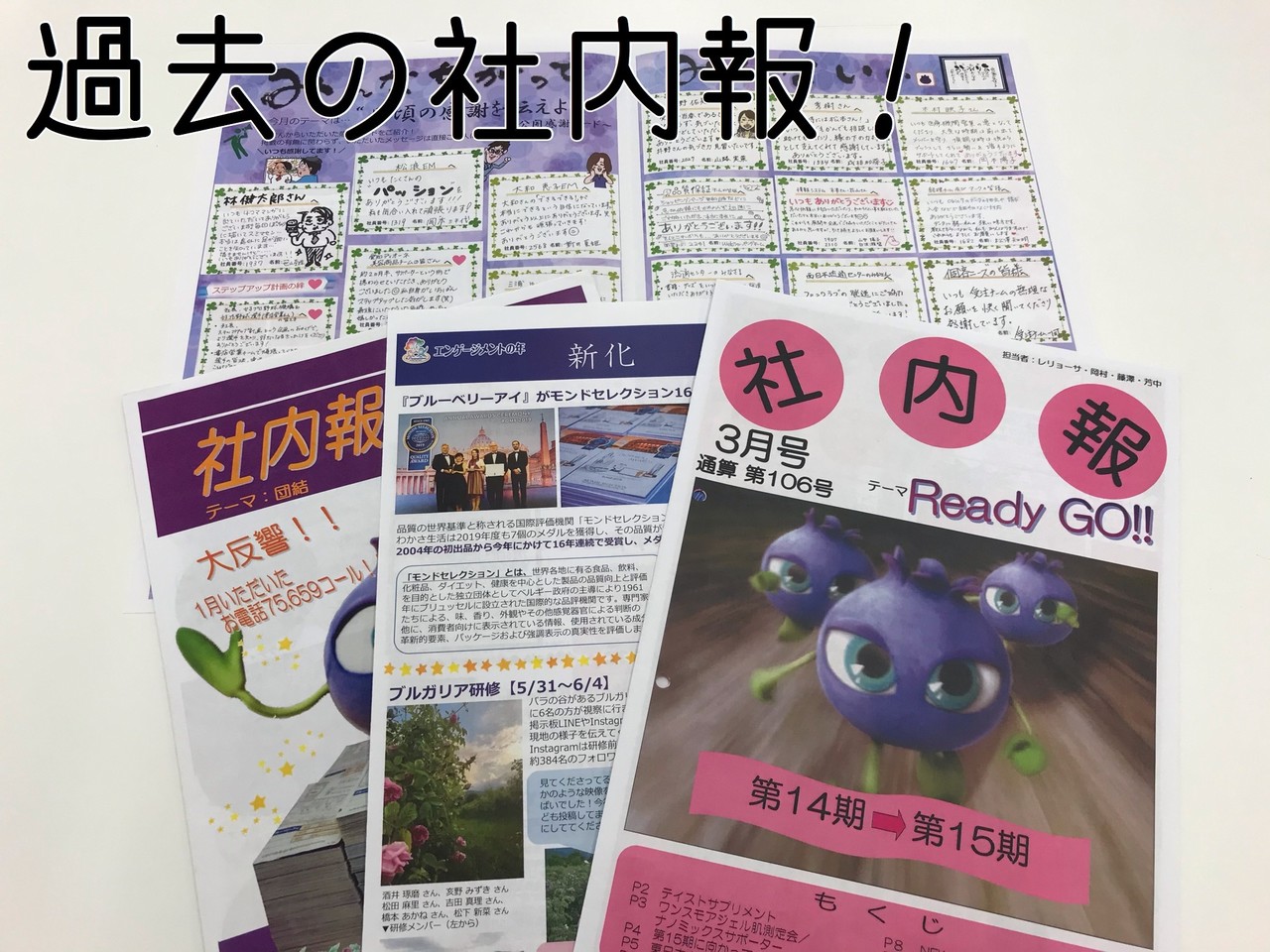 わかさ生活ってこんな会社 Note社内報スタートします わかさ生活 Note