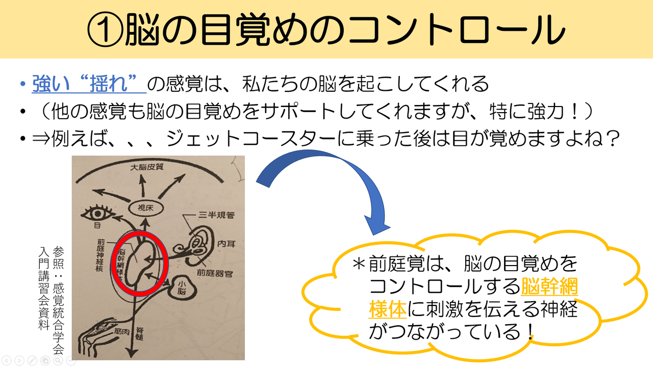 ”自覚しにくい感覚”→前庭感覚とは？？～発達に必要な感覚を押えよう！～｜作業くん｜note