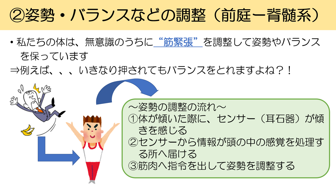 ”自覚しにくい感覚”→前庭感覚とは??~発達に必要な感覚を押えよう!~|作業くん|note ”自覚しにくい感覚”→前庭感覚とは??~発達に必要な感覚を押えよう!~|作業くん|note