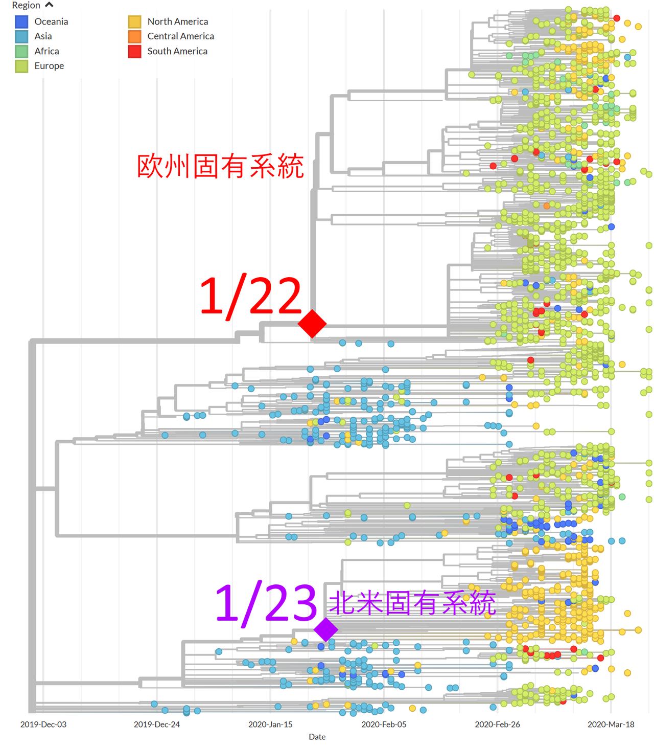 ロック ダウン し て いる 国