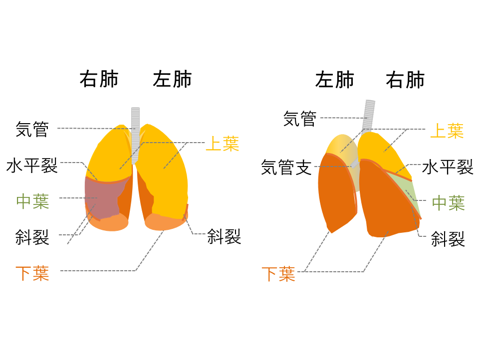 17 Powerpointでつくれる医療イラスト 素材探しに困ったら 図解の