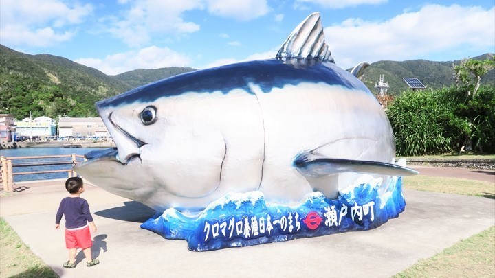 子連れ加計呂麻島 冬の観光スポット Awesomestokyo Note 子連れ加計呂麻島 冬の観光スポット Awesomestokyo Note
