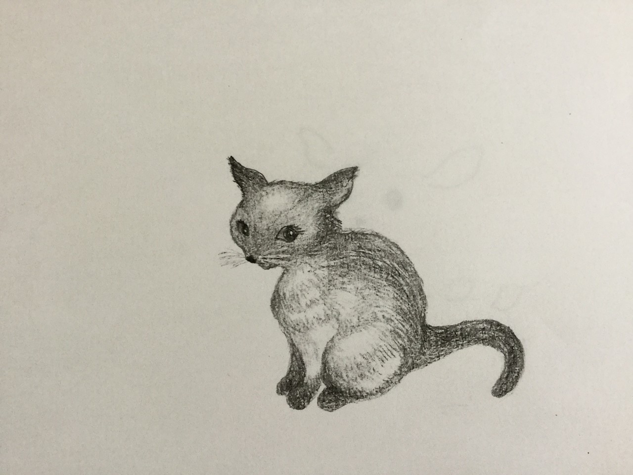 100 猫 人間 イラスト 興味深い画像の多様性