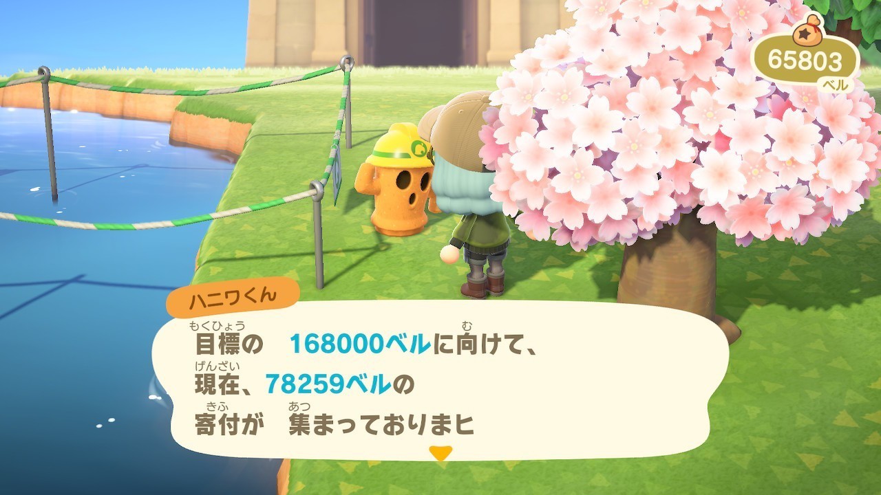 ベストコレクション おい 森 募金