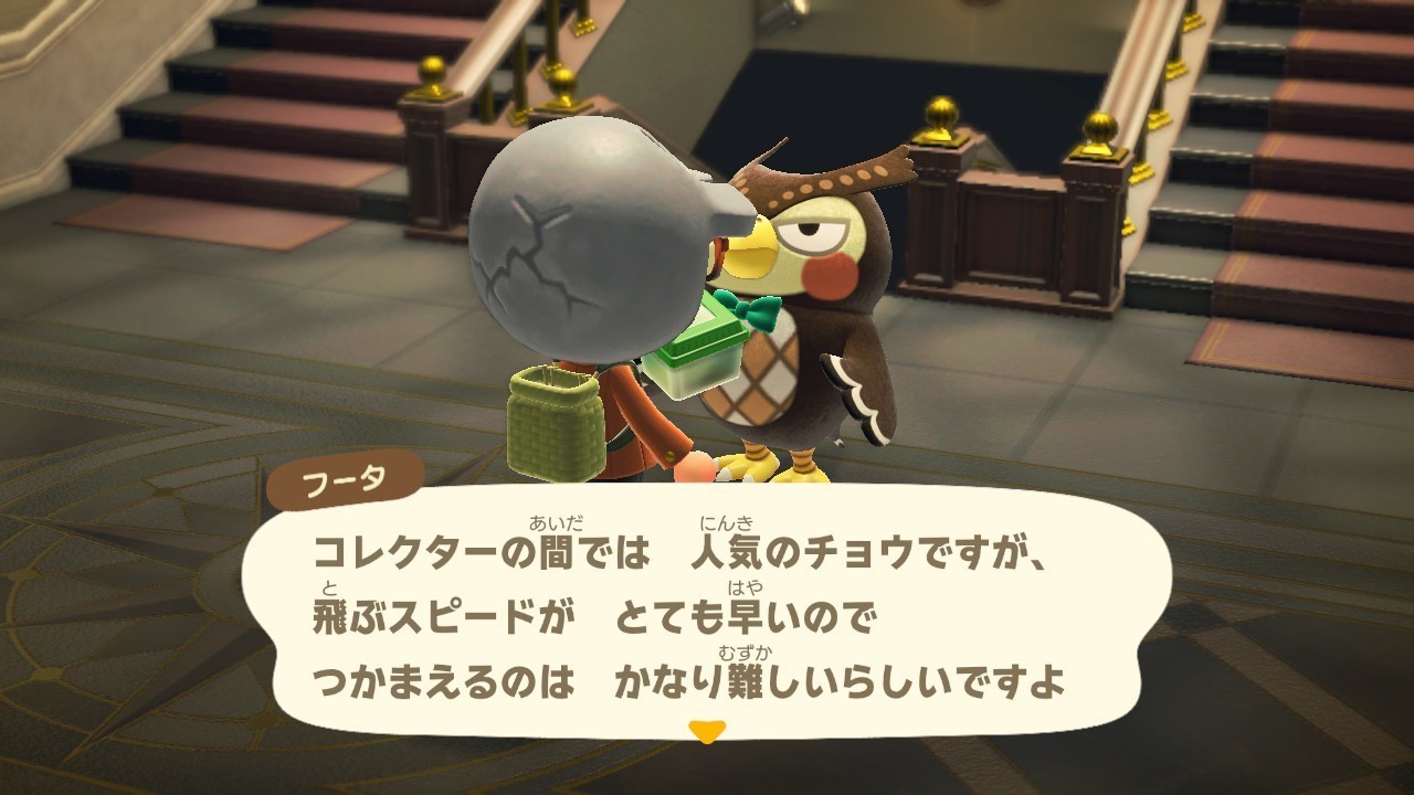 おく たろう 人気