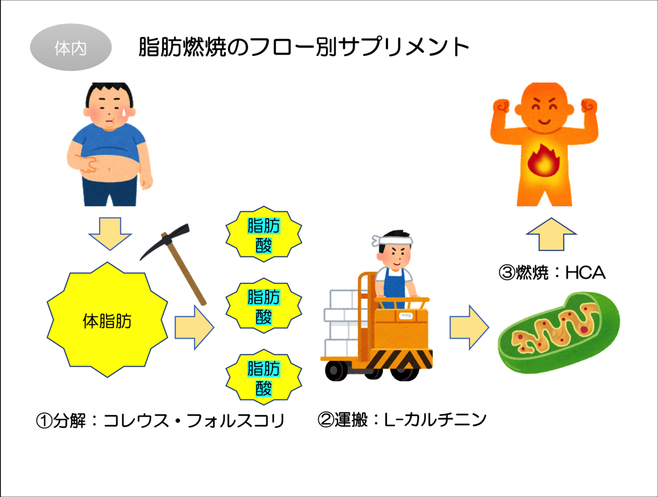 ダイエットサプリはどれをとればいいの Brainbuster Note