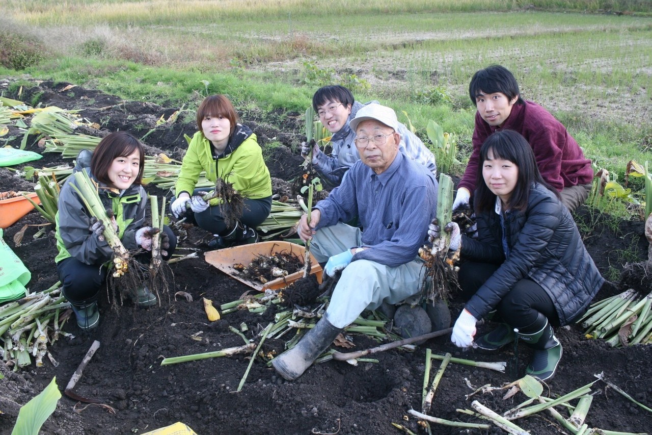 ３私がウコンをつくる2つの理由 その２ スーパーウコン爺の生き様 たなかみお Note