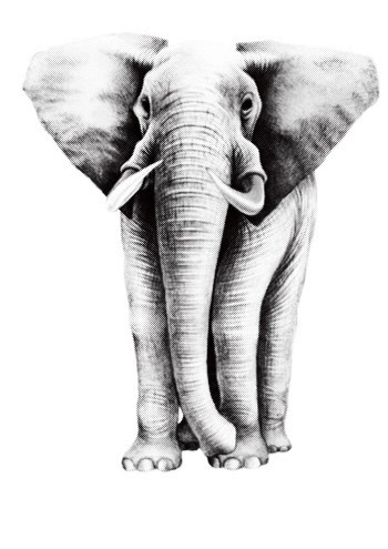 イラストじゅく ゾウの描き方 四角をうまく使ってゾウの大きさを