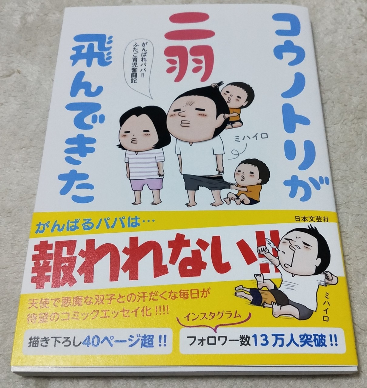 オススメマンガ紹介 コウノトリが２羽飛んできた 歩いていこう